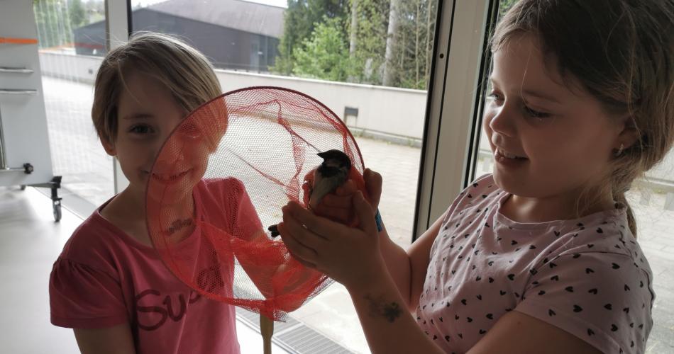 Spatz