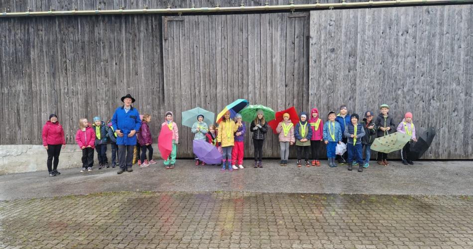 Besuch beim Bauernhof